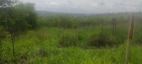 land_lot em Avenida Bento Gonçalves, Matozinhos - Matozinhos - MG
