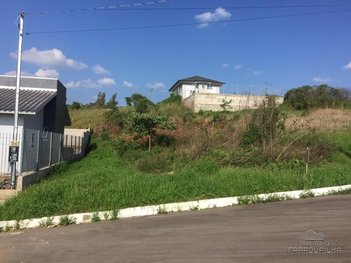 land_lot em Rua Afonso Fernandes de Mattos, Monte Verde - Farroupilha - RS