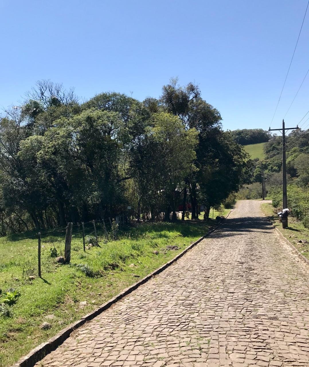 6e4e54ce-c5b9-4aef-9a7b-f2b1bfc31ecb