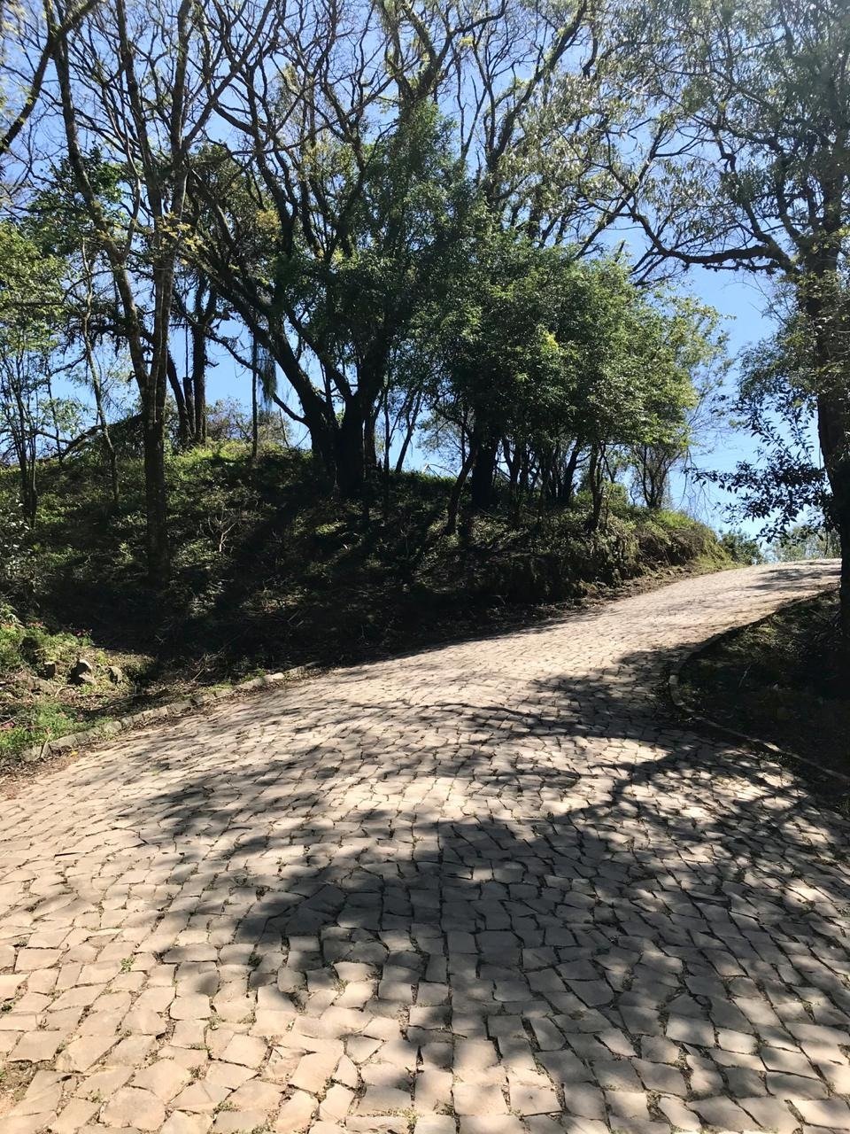 72d0deb6-e9ef-4b61-bcf6-2632bebf14ce