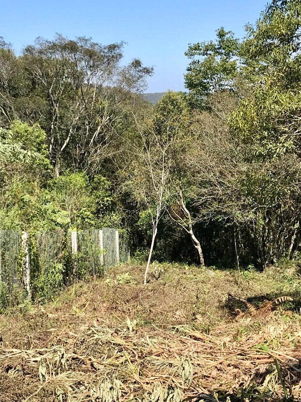 fdbfd9f2-b9d7-4973-abd6-2f855f98f909