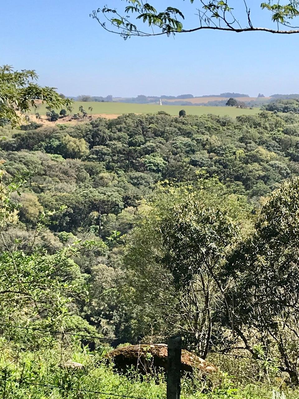 4e527003-23f8-4f77-bf53-d86a96dfe1e0