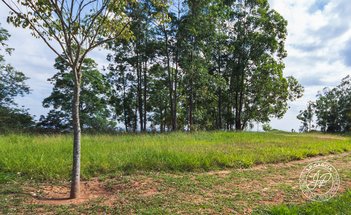 land_lot em Alameda das Araribás, Loteamento Residencial Parque Terras de Santa Cecília - Itu - SP