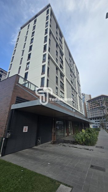 business em Rua Portinari, Pedra Branca - Palhoça - SC