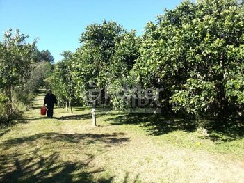 land_lot em Estrada Afonso Lourenço Mariante, Belém Velho - Porto Alegre - RS