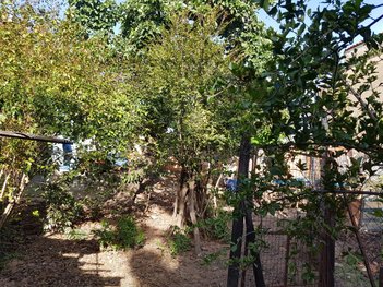 land_lot em Rua Coronel Joaquim dos Santos, Céu Azul - Belo Horizonte - MG