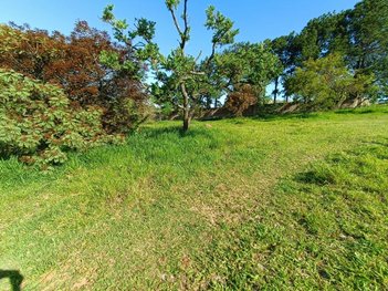 land_lot em Estrada Municipal dos Delegos, Chácara Recreio do Havaí - Botucatu - SP