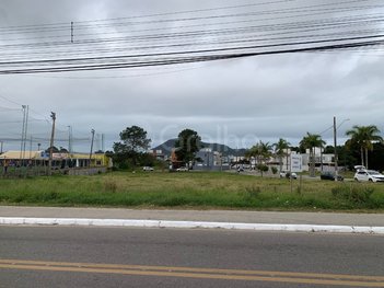 land_lot em Avenida das Constelações, São João do Rio Vermelho - Florianópolis - SC