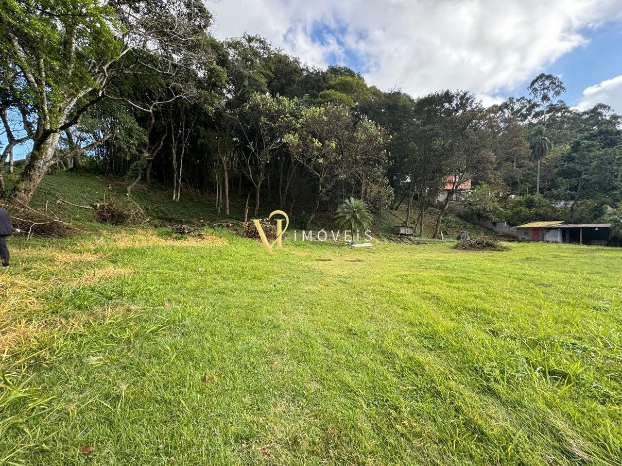 WhatsApp Image 2024-11-17 at 06.46