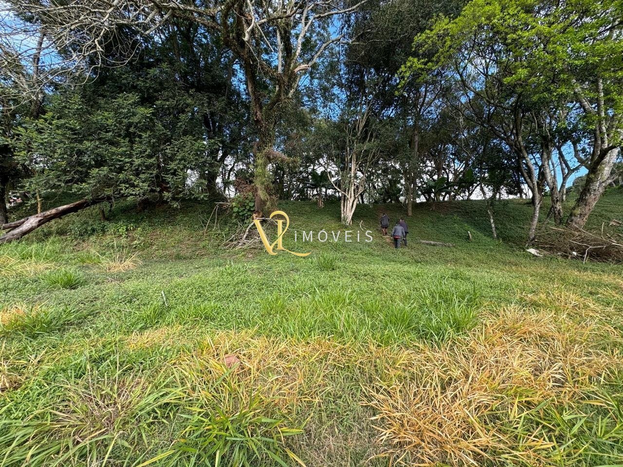 WhatsApp Image 2024-11-17 at 06.46