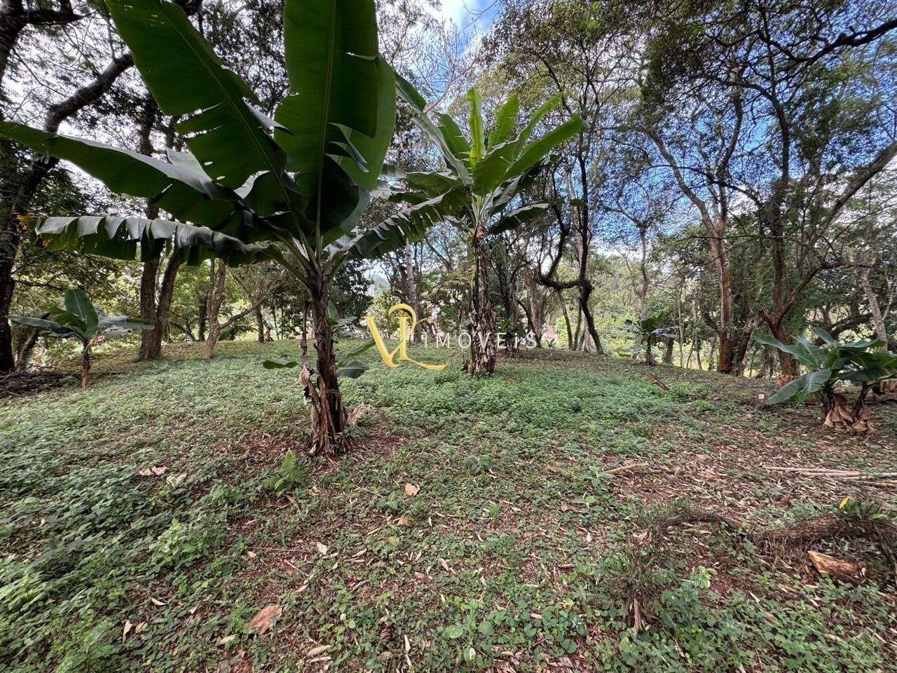 WhatsApp Image 2024-11-17 at 06.46