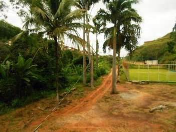 agricultural em Rua Luiz Carlos Prestes, Palmeiras - Ponte Nova - MG
