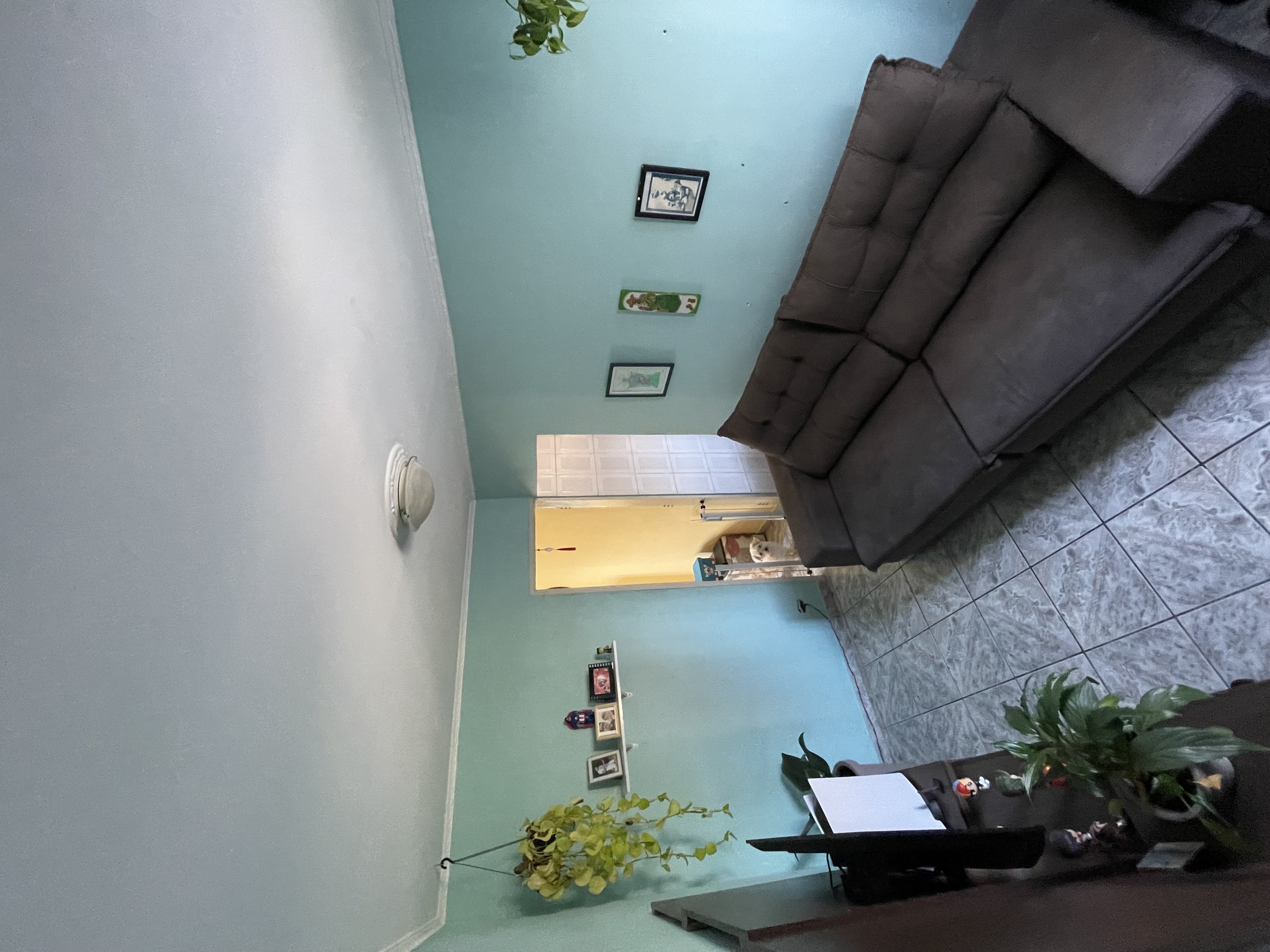 img1