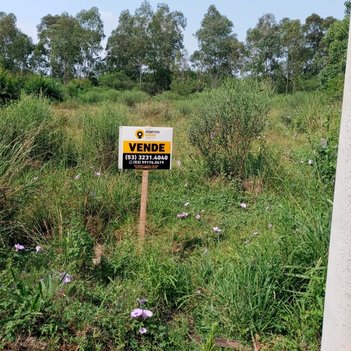 land_lot em Quatro Avenida Ildefonso Simoes Lopes, Três Vendas - Pelotas - RS