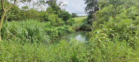 agricultural em Rua Professor Magri, Usina Três Bocas - Londrina - PR