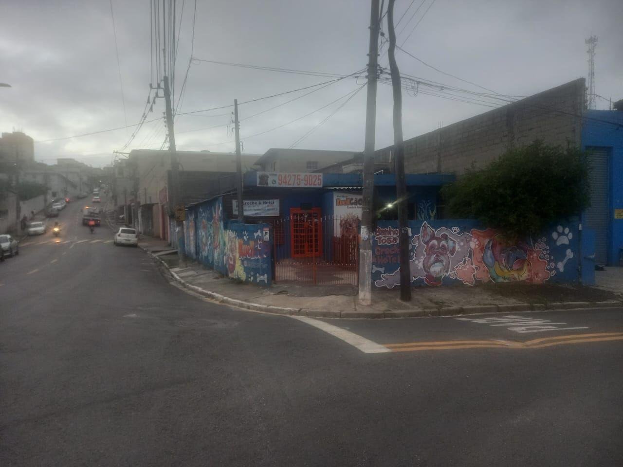 20250402184855_2977.jpg