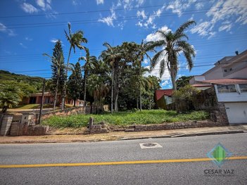 land_lot em Rua Assis Brasil, Ponta de Baixo - São José - SC