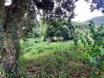 land_lot em Rodovia Baldicero Filomeno, Ribeirão da Ilha - Florianópolis - SC