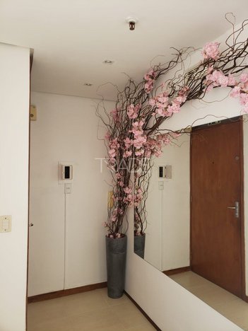 office em Doutor Armando Barbedo, Tristeza - Porto Alegre - RS