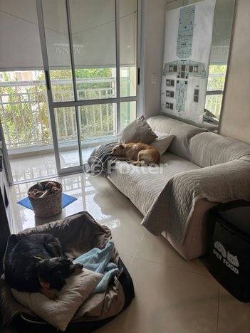 apartment em Rua Marie Nader Calfat, Jardim Ampliação - São Paulo - SP