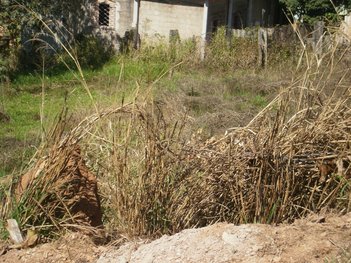 land_lot em Avenida Central, Panorama Industrial - Igarapé - MG