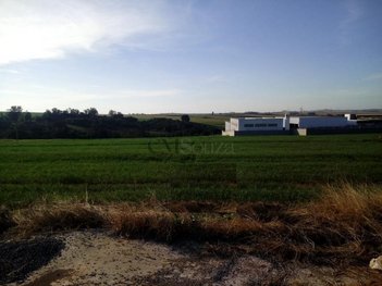 commercial_land_lot em Adolpho de Bassi, Estância Dlaville - Londrina - PR