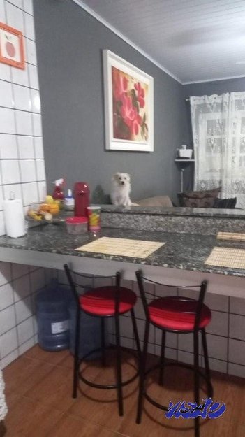 house em Jose Antonio Pereira, Potecas - São José - SC