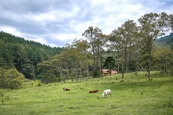 land_lot em Estrada Geral da Invernadinha, Invernadinha - Rancho Queimado - SC
