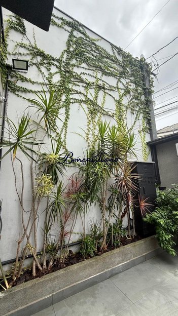 house em Rua Amoroso Costa, Jardim São Paulo(Zona Norte) - São Paulo - SP
