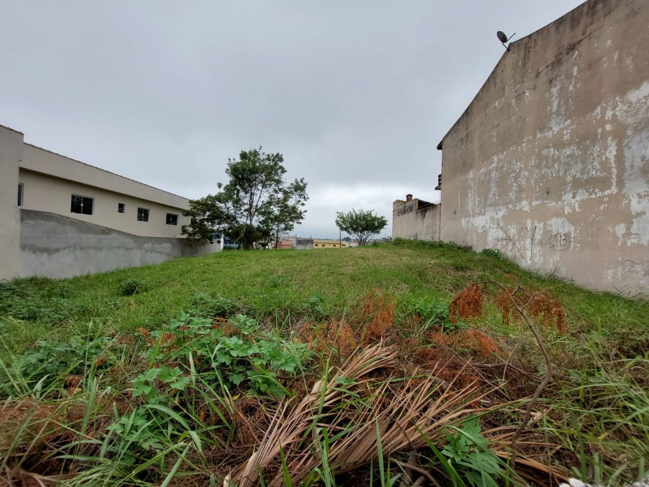 foto_certa_migr - 4