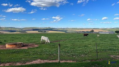 agricultural em Área Rural, Área Rural de Coronel Macedo - Coronel Macedo - SP