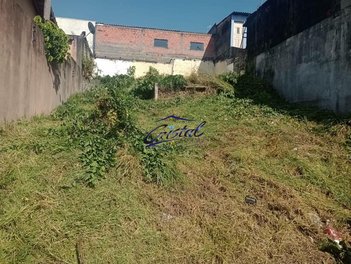 land_lot em Rua Karan, Parque São George - Cotia - SP