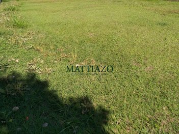 commercial_land_lot em dos Bálsamos, Terras de São Bento II - Limeira - SP