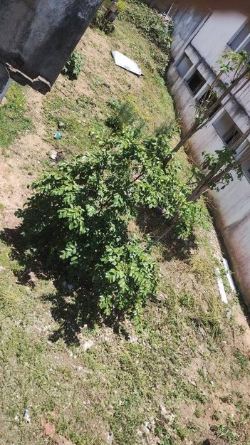 land_lot em Rua Medina, Vila Iracema - São José dos Campos - SP