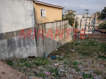 land_lot em Rua Juncal, Tucuruvi - São Paulo - SP