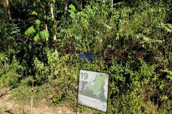 land_lot em Estrada União e Indústria, Pedro do Rio - Petrópolis - RJ