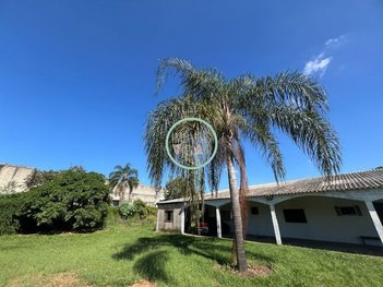 commercial_land_lot em Avenida Cesário de Araújo, Chácaras Araújo II - São José dos Campos - SP