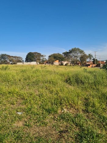 land_lot em Avenida Botucatu, Jardim Botucatu (Rubião Júnior) - Botucatu - SP