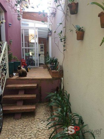 house em Rua Dalvo Matos Dedecca, Vila Palmeiras - São Paulo - SP