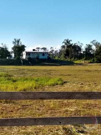 land_lot em Geral Potecas, Forquilhas - São José - SC