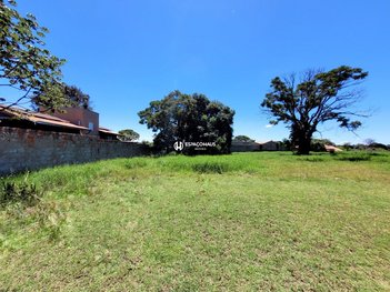 land_lot em Rua Arara-azul, Recanto Campestre Internacional de Viracopos Gleba 1 - Indaiatuba - SP