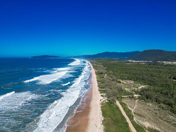 land_lot em Rodovia João Gualberto Soares, São João do Rio Vermelho - Florianópolis - SC