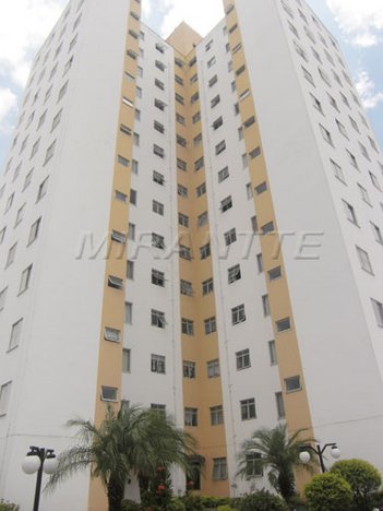apartment em Avenida Parada Pinto, Vila Nova Cachoeirinha - São Paulo - SP