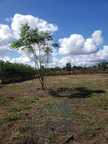 land_lot em Rua Izaulina Moura Gomes, Cidade Jardim - Barra do Choça - BA