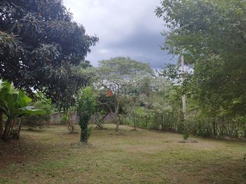 land_lot em Estrada Municipal Rubens Fernando Monte Ribeiro, Jardim Novo Horizonte - São Carlos - SP