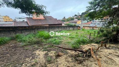 land_lot em Rua Amaro Ribeiro Coelho, Alto Caiçaras - Belo Horizonte - MG