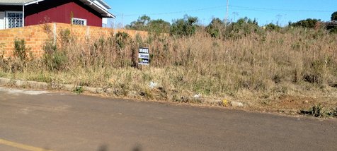 land_lot em Rua Lauro Agostini, Martello - Caçador - SC