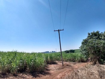agricultural em Rua Onze de Agosto, Centro - Tatuí - SP
