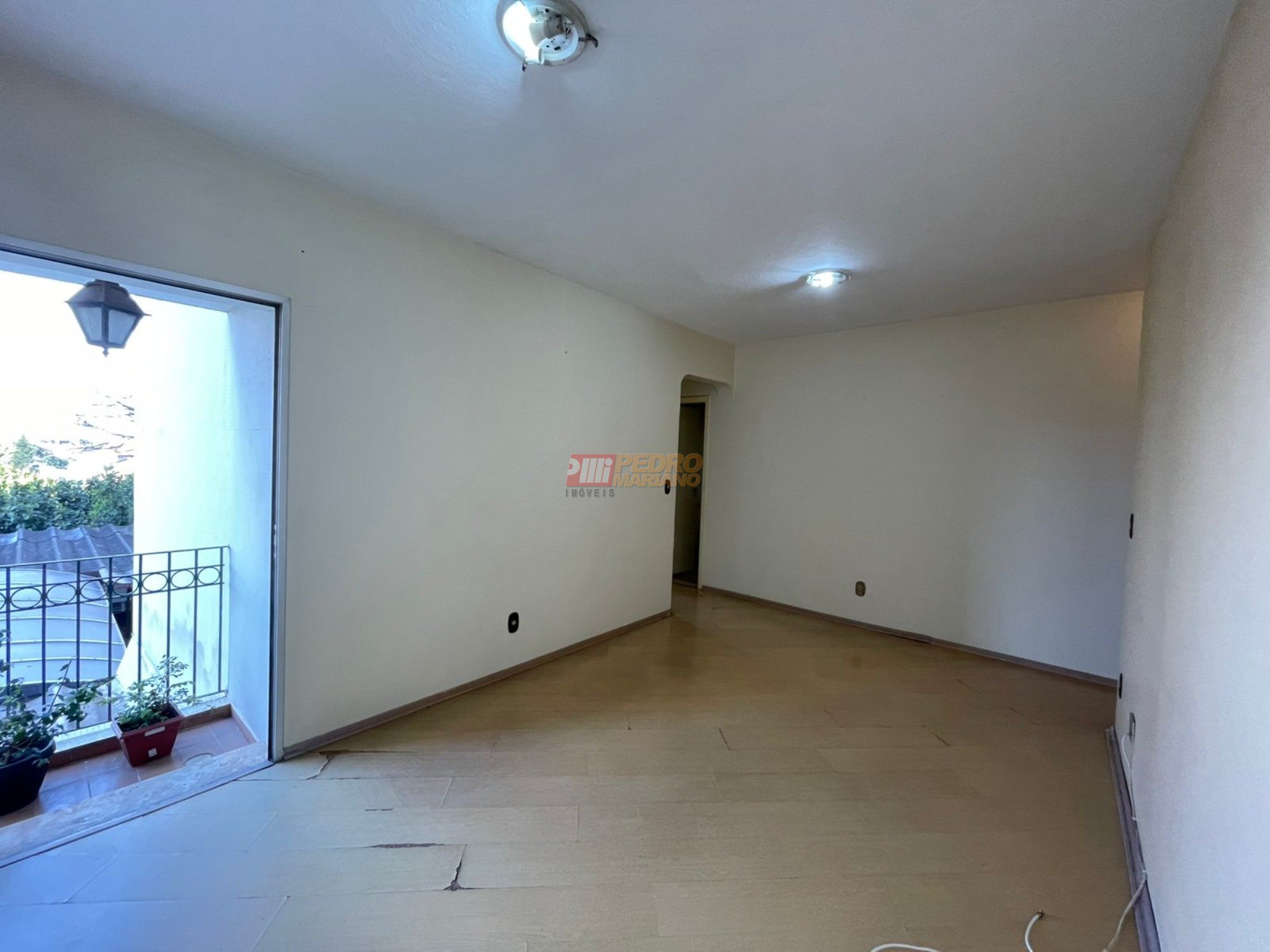 WhatsApp Image 2025-09-10 at 15.35