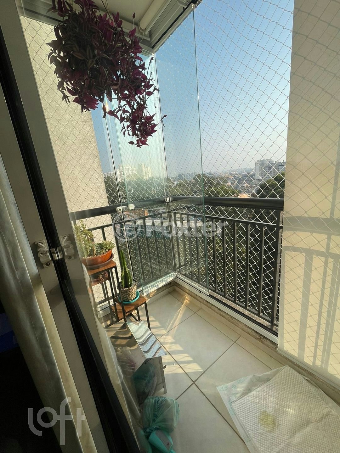 aed36675